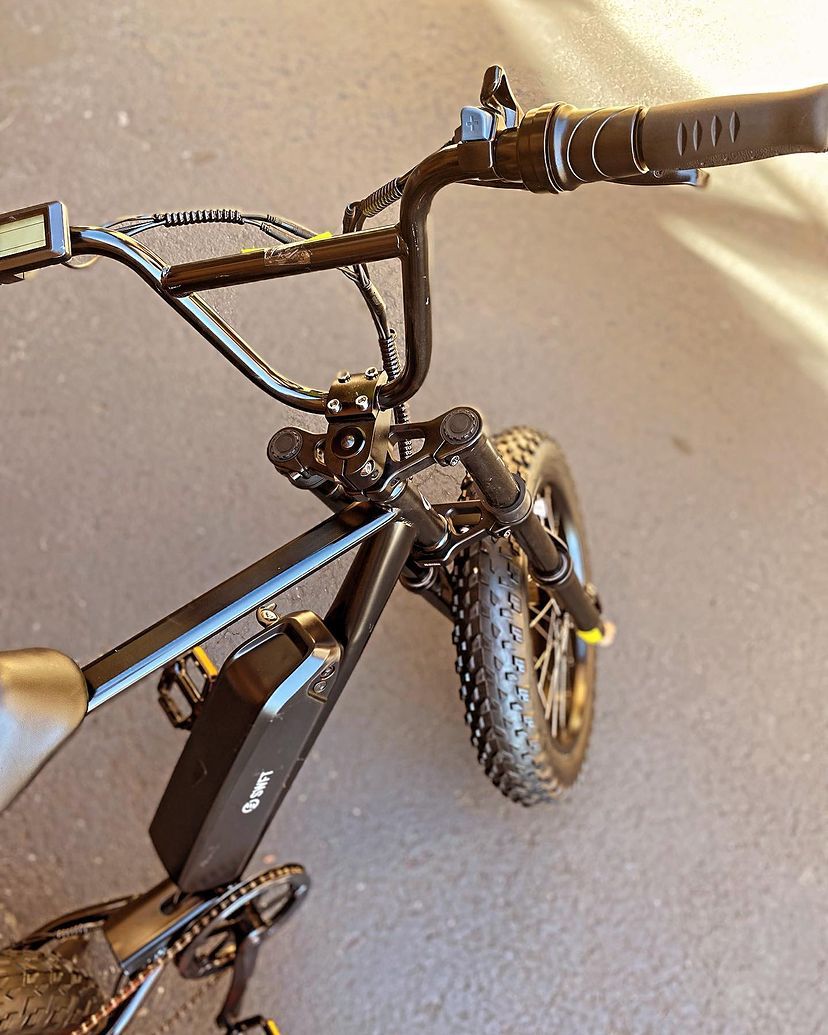 SWFT Zip Fat Tire Electric Bike - Image 9