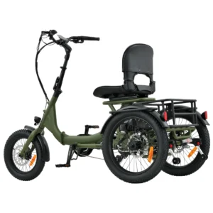 Skink E-Trike Low-Step 48V/15Ah 250W