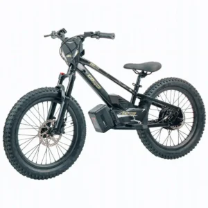 GoBike 20 Inch Electric Bike for Kids & Teens –For Ages 9–16